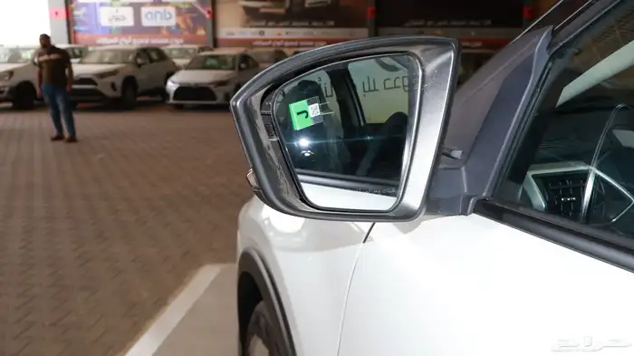 رايز ليمتد 2026 10