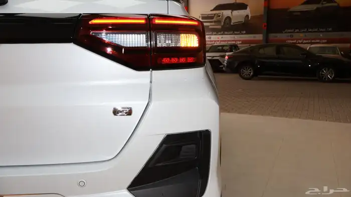 رايز ليمتد 2026 7