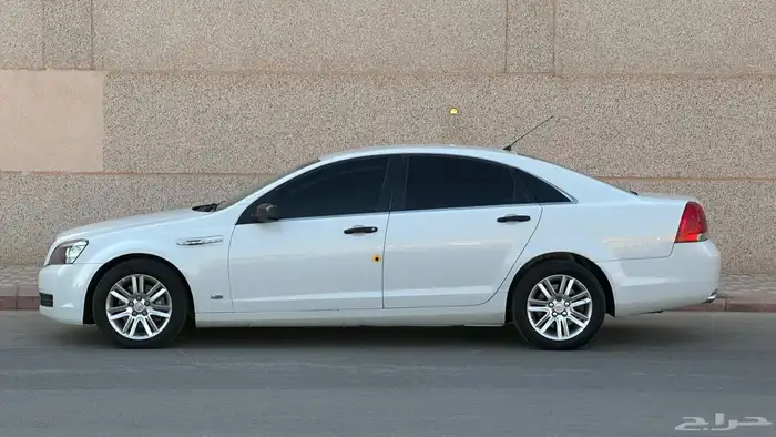 كابرس 2013 6