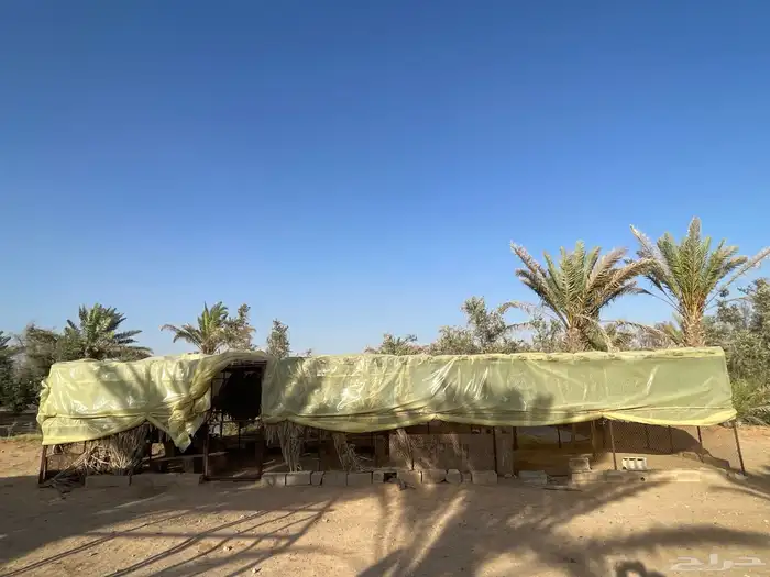 شبك للحلال والطيور اخو الجديد 2