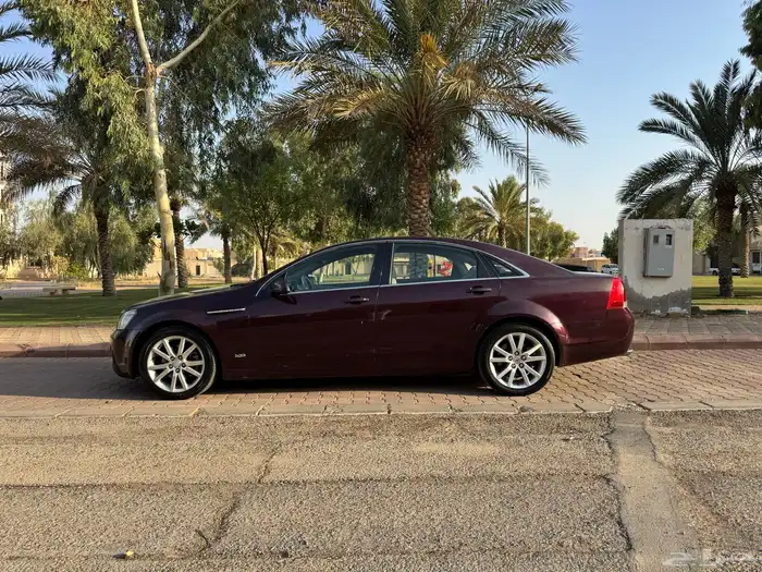 كابرس عنابي من الالون النادره 0