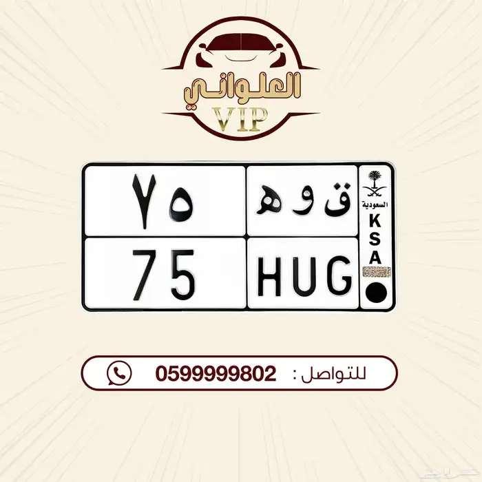 لوحة مميزه للبيع 0