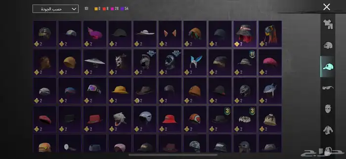 حساب ببجي عالسوم وربي اني دافع فيه 2000 ريال 24