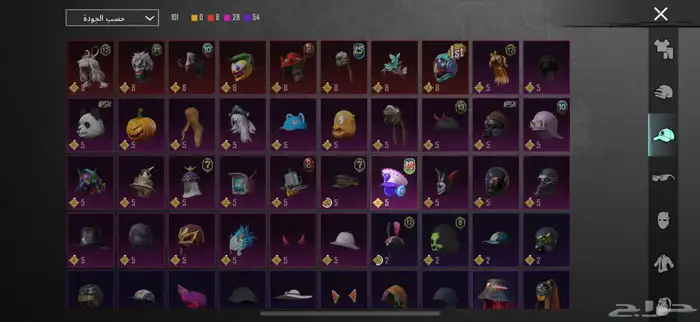 حساب ببجي عالسوم وربي اني دافع فيه 2000 ريال 25