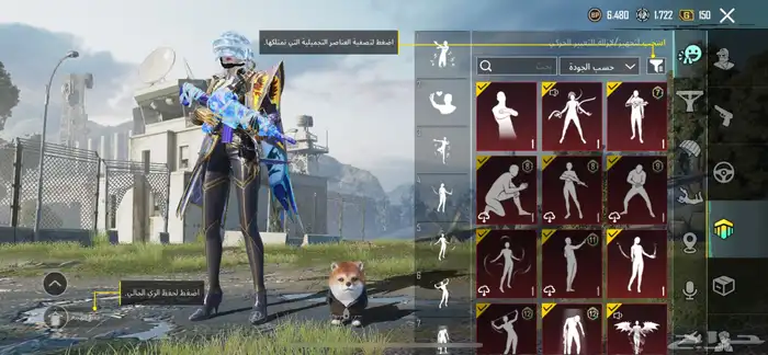حساب ببجي البيع 6
