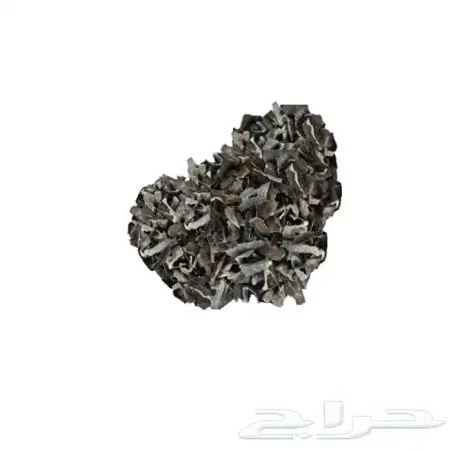 ابحث عن شريك 3