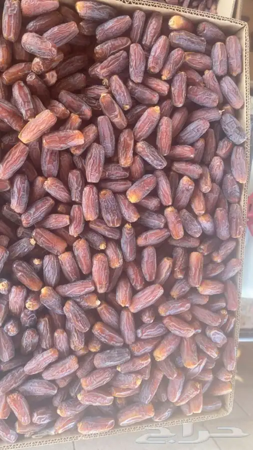 برني 1