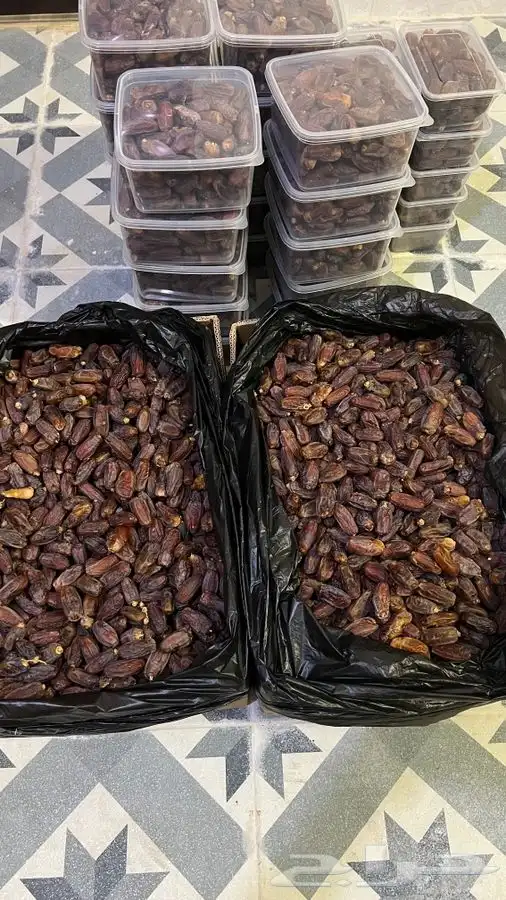 تمر برني من نخل الديسه 0
