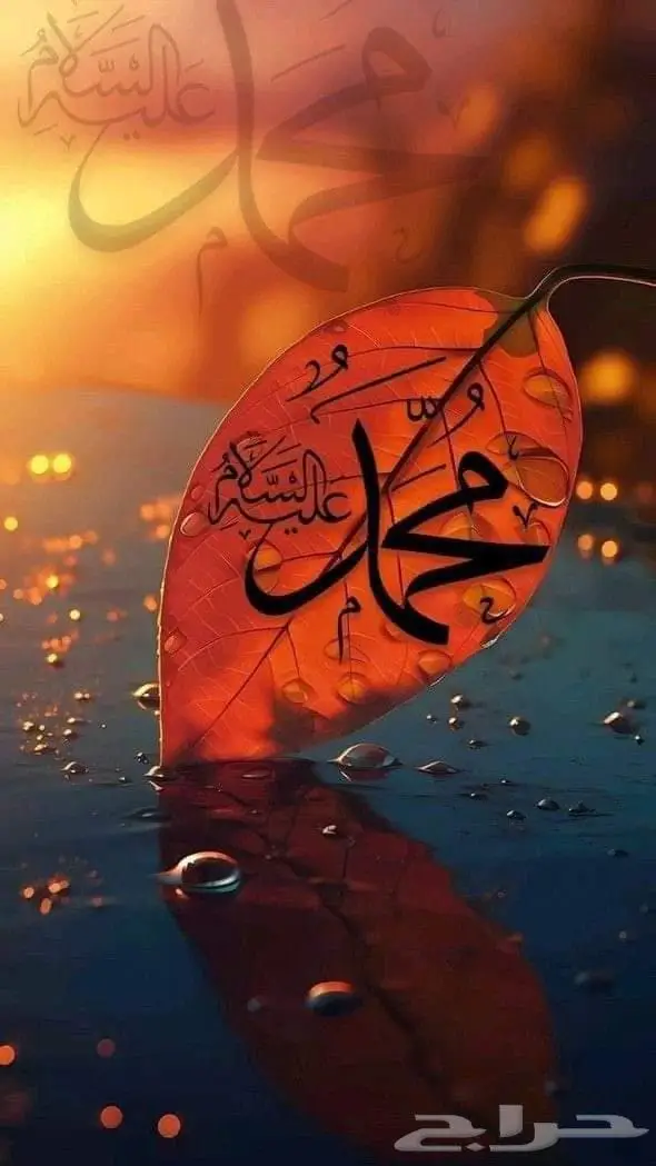 معلم انجليزي 0