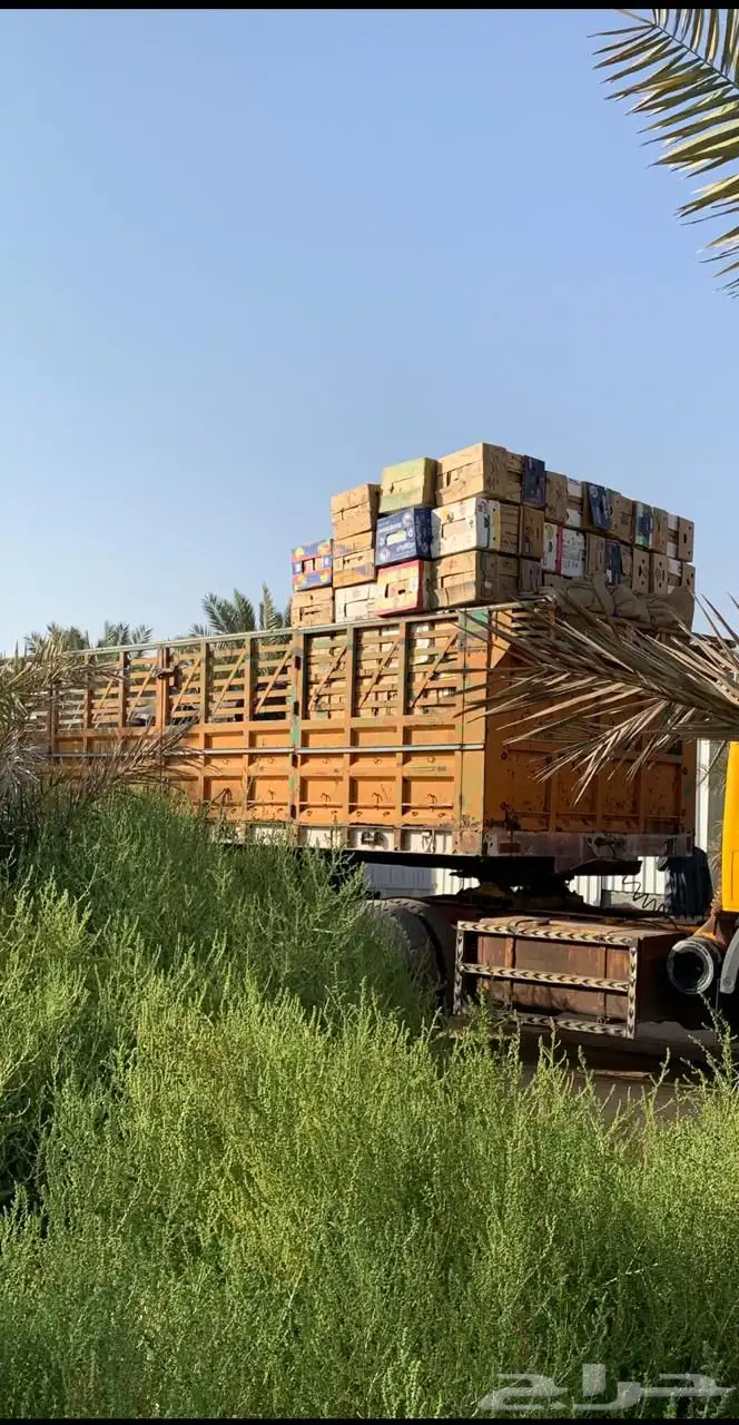تريلة للايجار بالقصيم 0