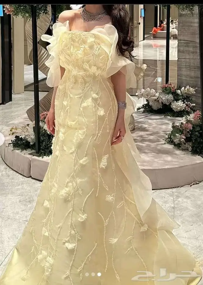فساتين زواجات بيع جملة حتا لو حبة واحدة 30