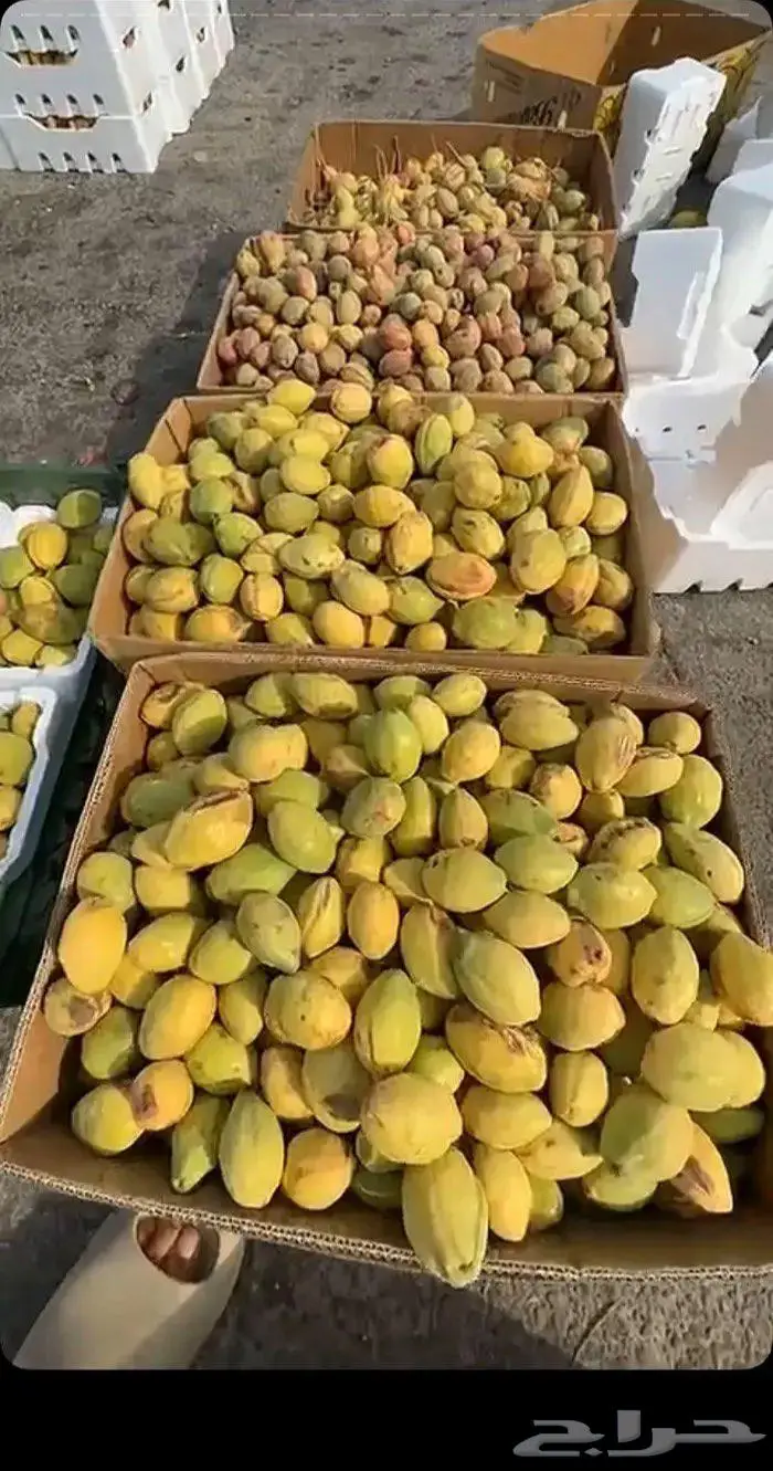 لوز ويوجد توصيل لكل مناطق المملكه 2