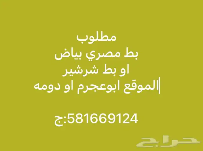 بططط 0