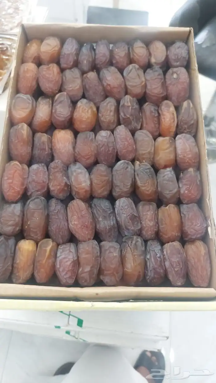 تمور فاخره من الآخر 1