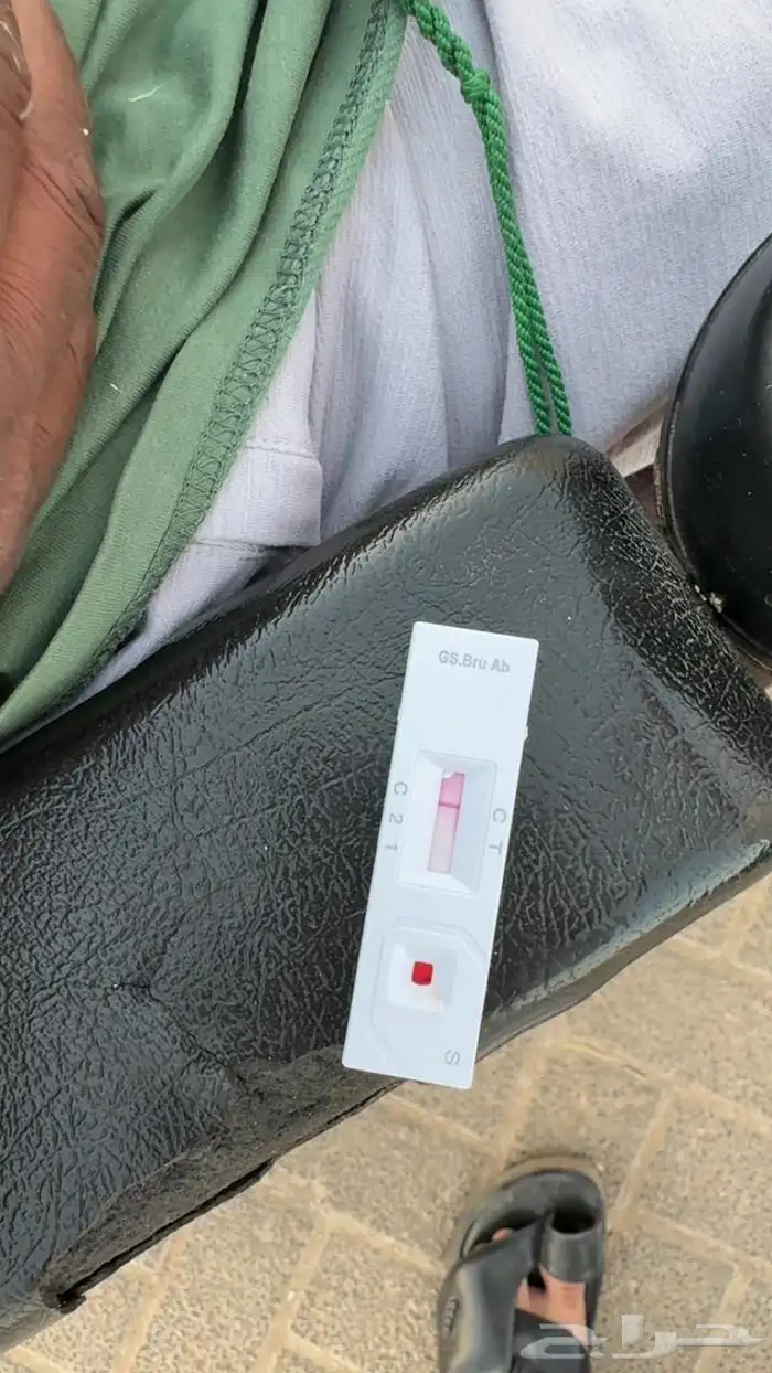 فحل حري جببر مشروط 2