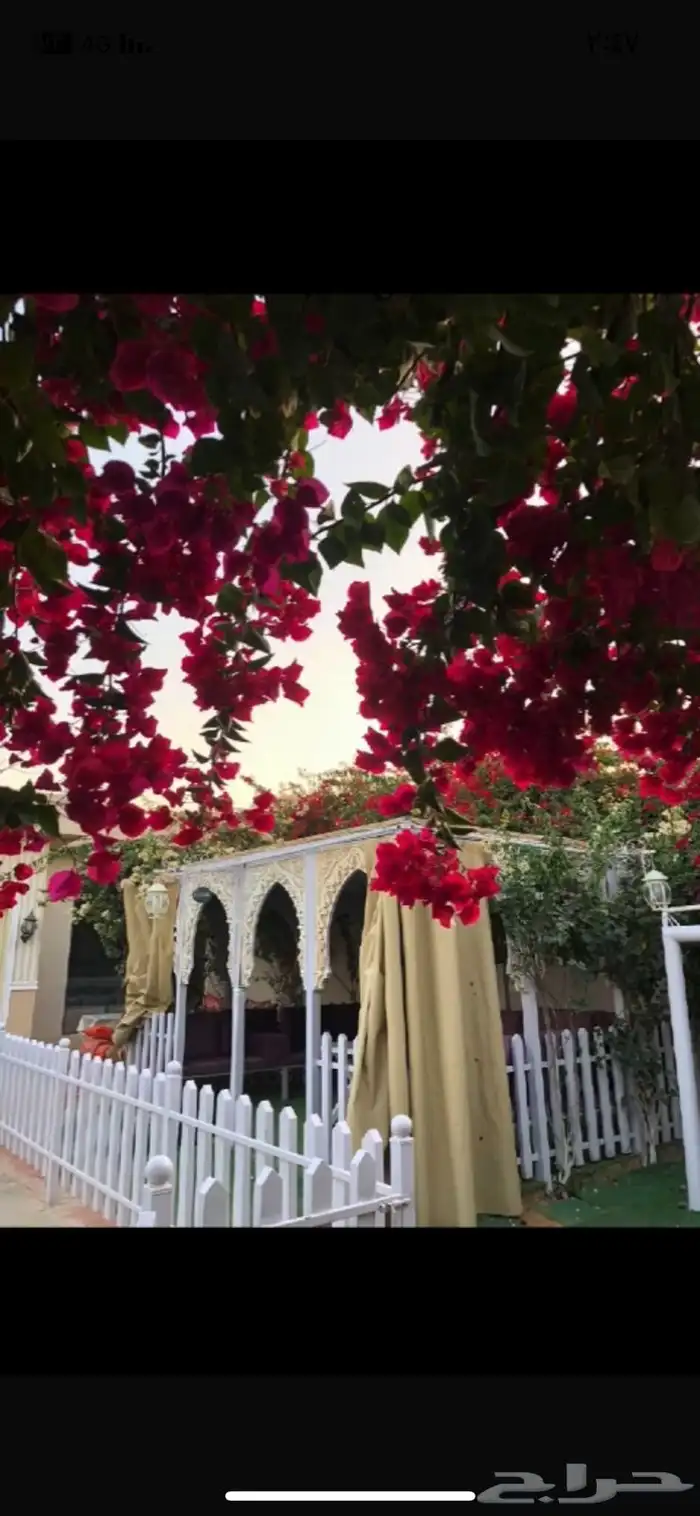شاليهات جنوب الرياض (ديراب) 2