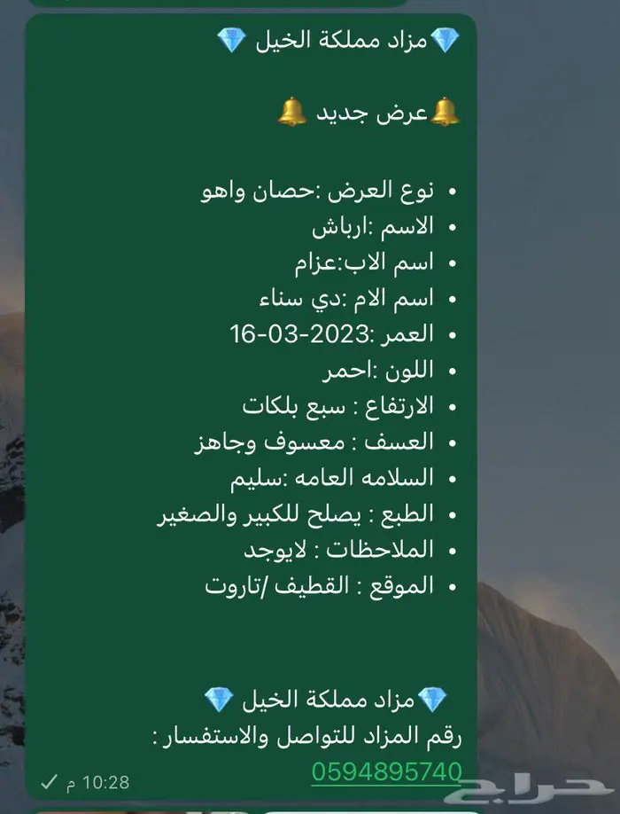 خيل 1