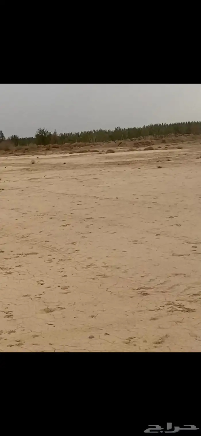 ب منصة احكا الموقع خيبر الرحبه المساحه 220 الف 2