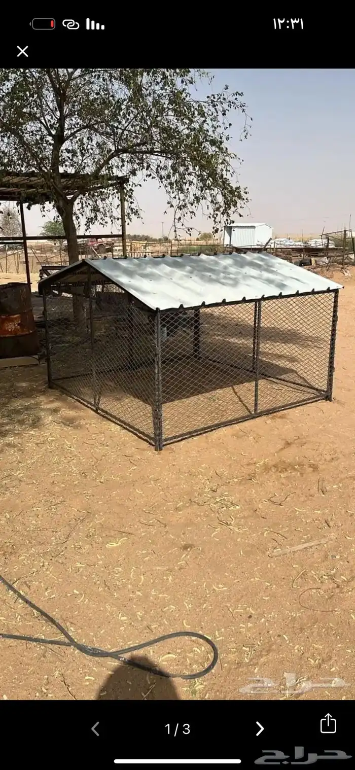 شبك دجاج 2