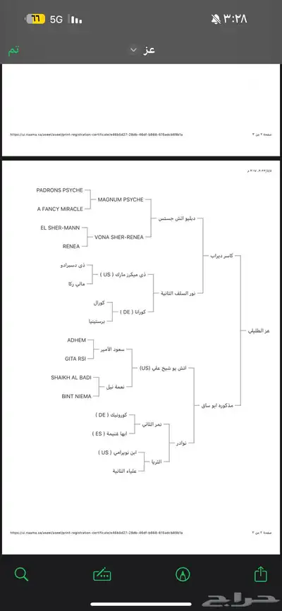 حصان index