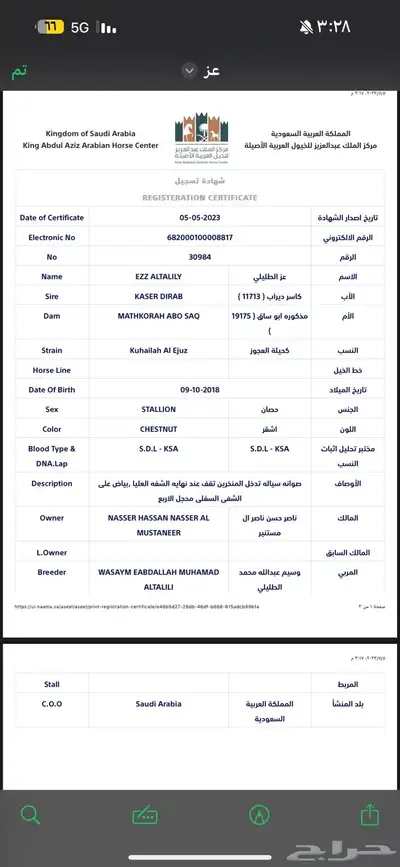 حصان index