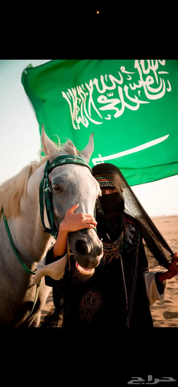 تأجير خيل لي يوم التأسيس واليوم الوطني 0