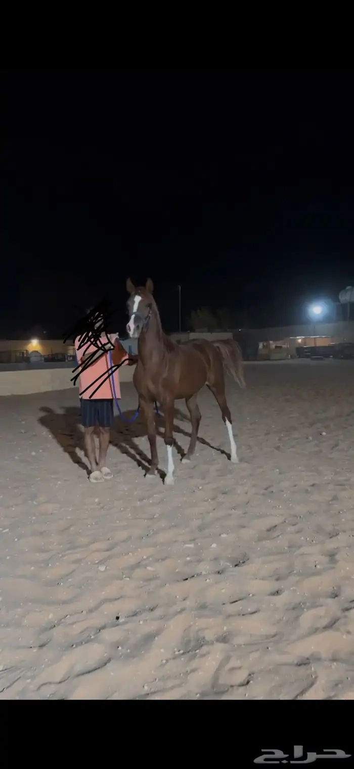 مهره شعبيه فاخرة 2