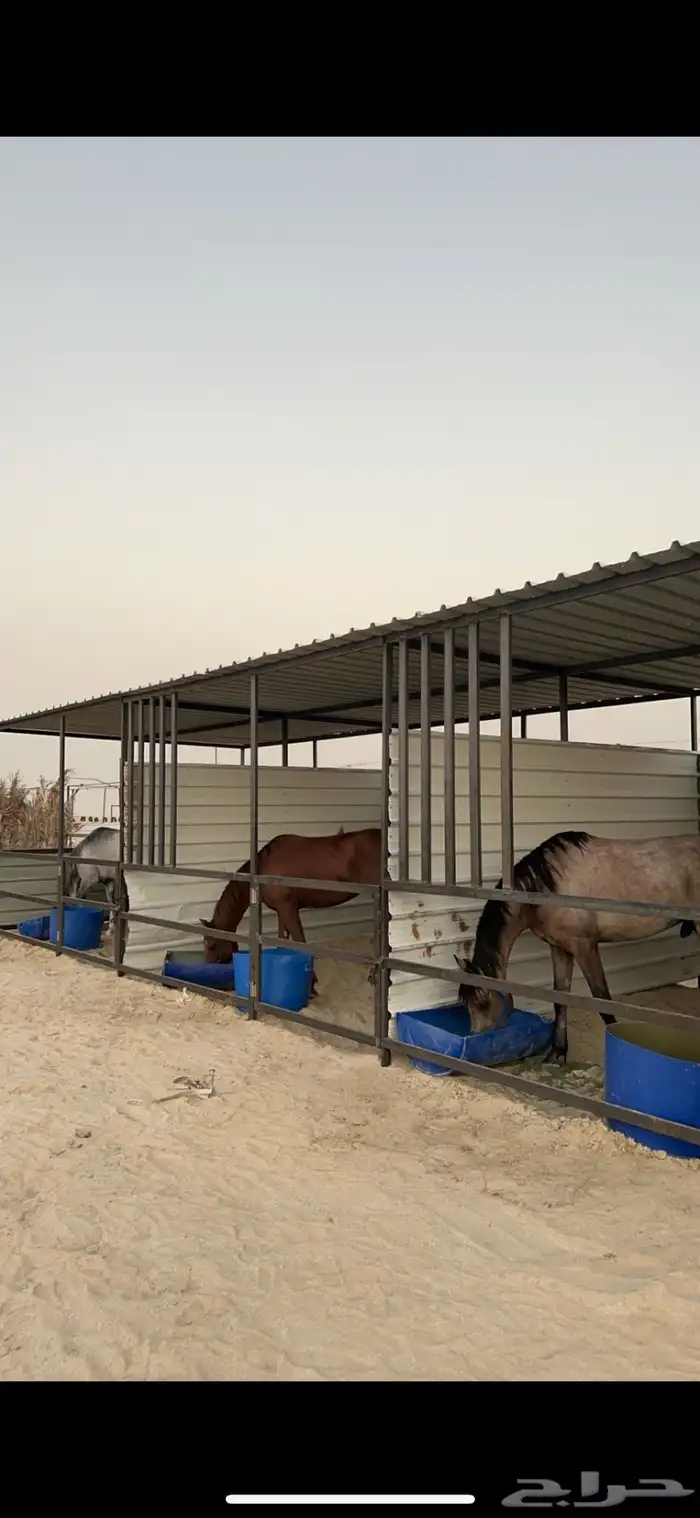 عروض خاصه الإيواء 0