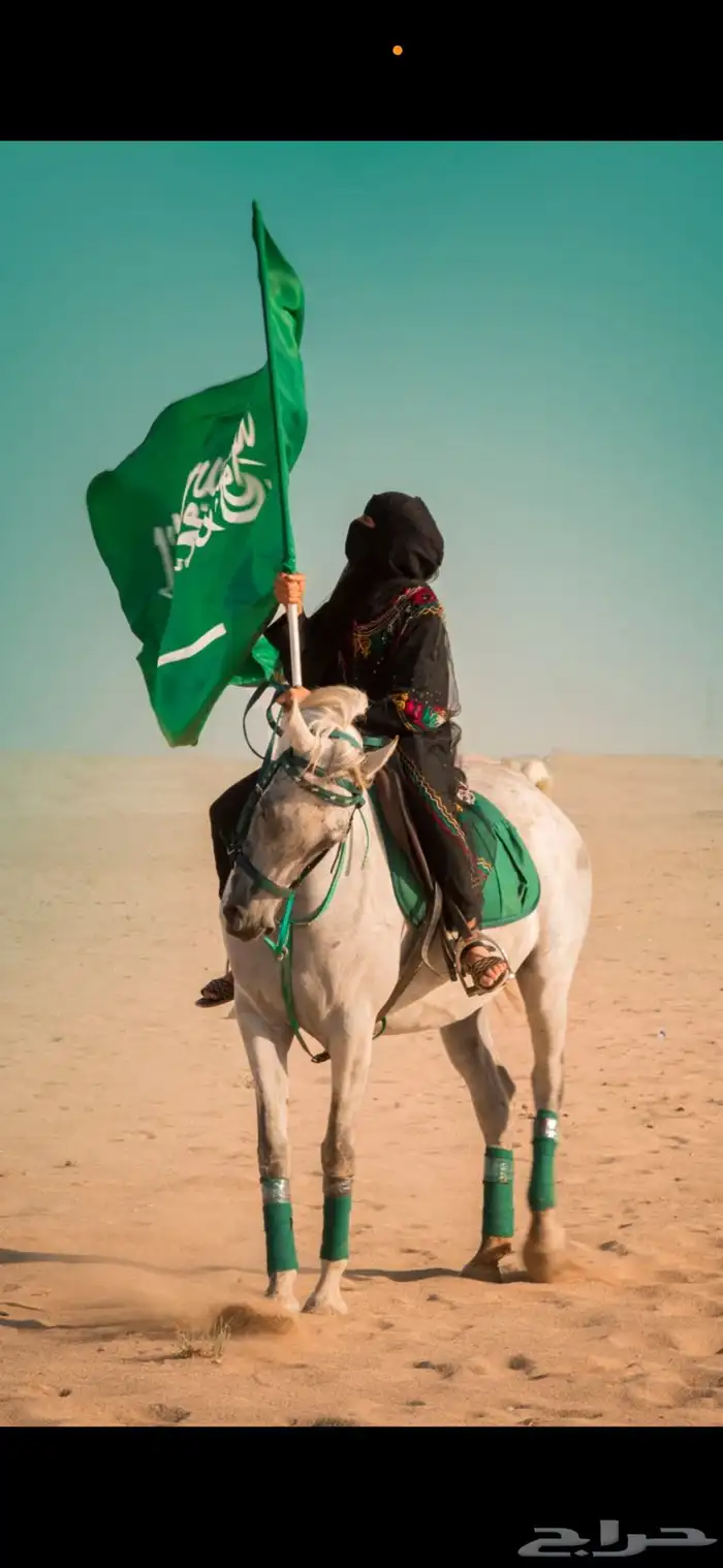 تأجير خيل لي يوم التأسيس واليوم الوطني 6