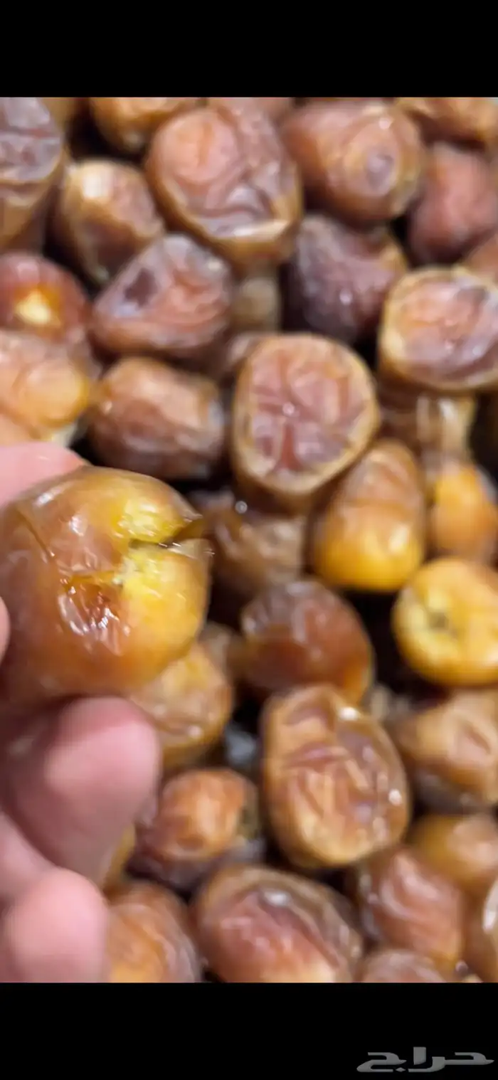 تمور القصيم الفاخره 0