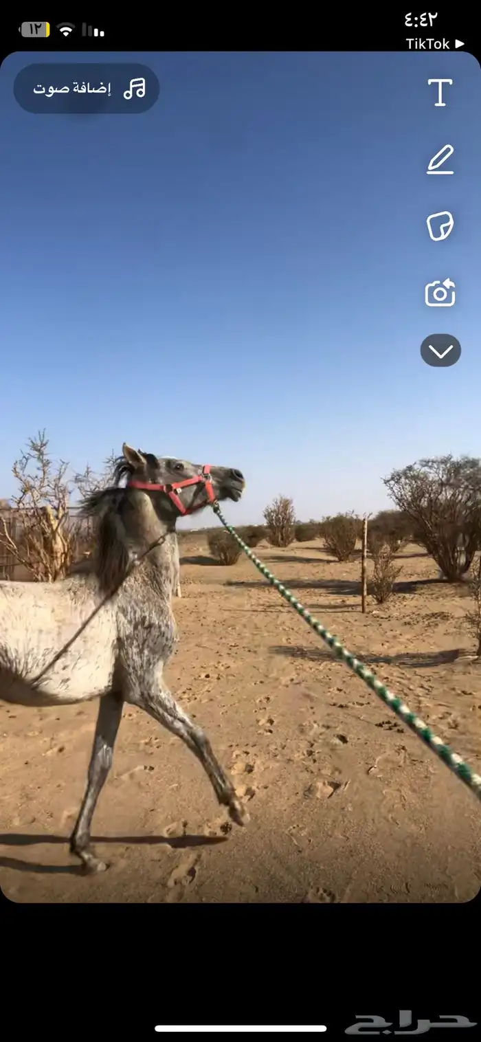 مهره 0