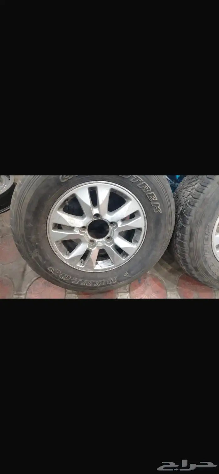 جنوط جكسار 1