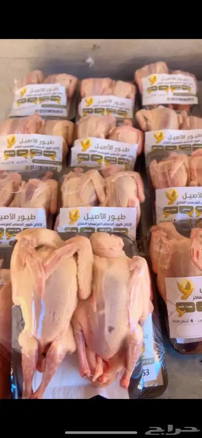 حمام فرنسي index