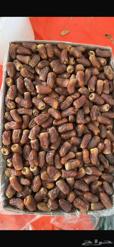 برني الفرع رقم واحد شرط 0