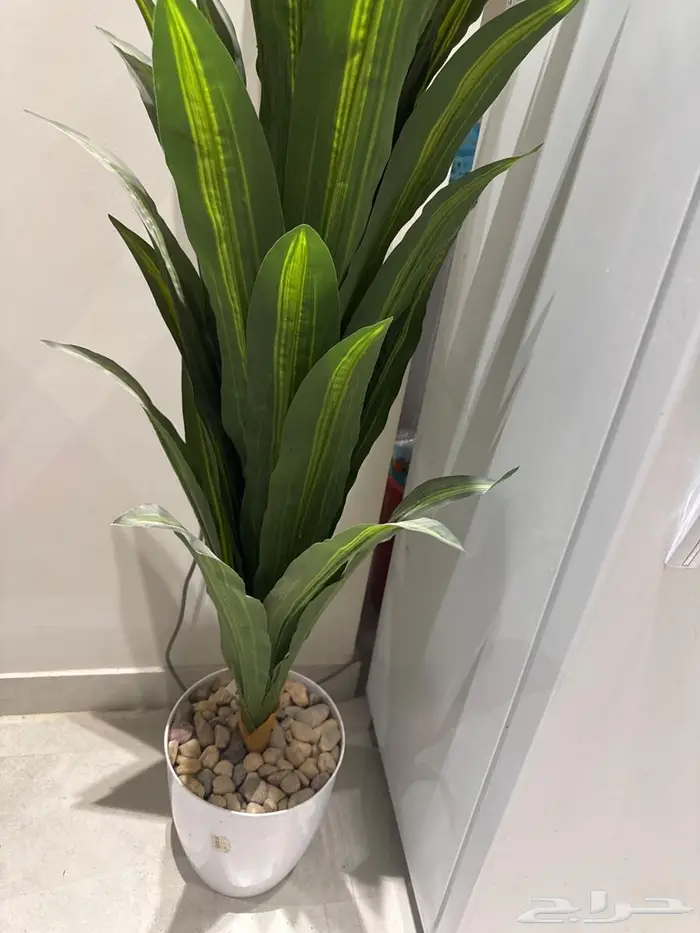 اثاث نظيف للبيع 1