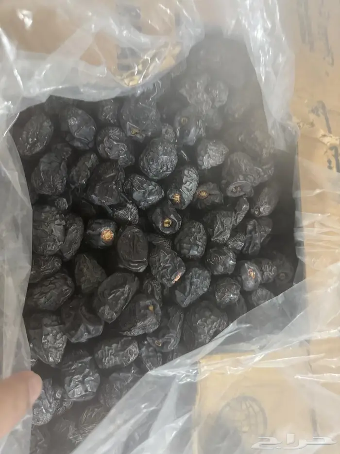 عجوه نظيفه 1