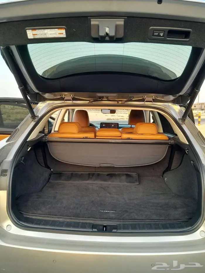 لكزس ار اكس450 (Lexus RX 450) 2022 ممشى قليل 9