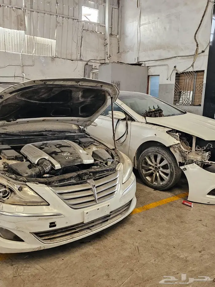 مكاين جنسس أزيرا جميع الموديلات من 2000 إلى 2025 3