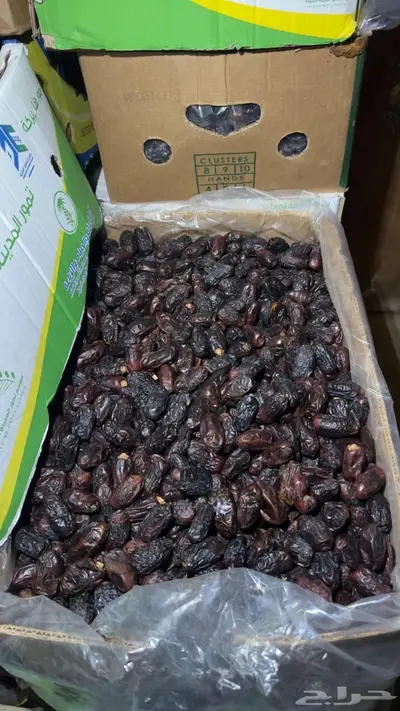 خبز ناشف وتمر نظيف index