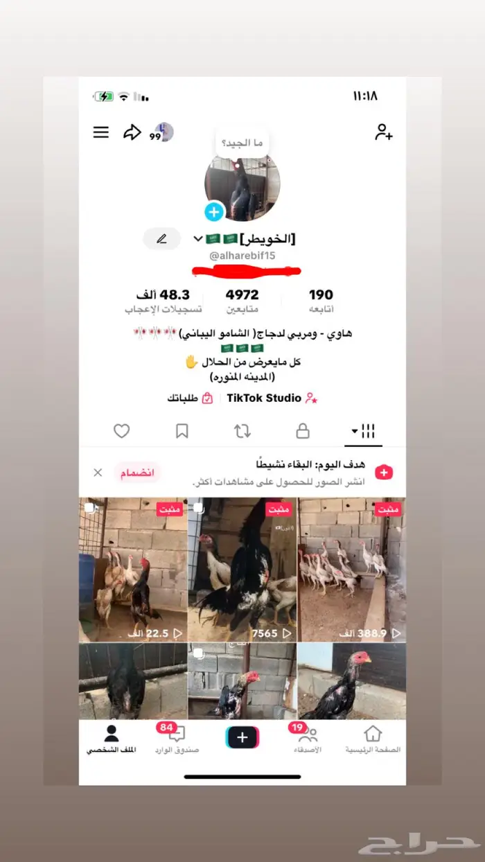 فرخ شامو يباني تووب 1
