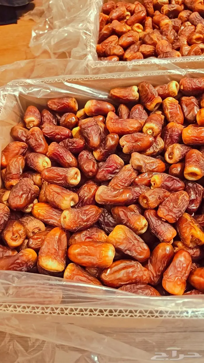 تمر برني العيص 3
