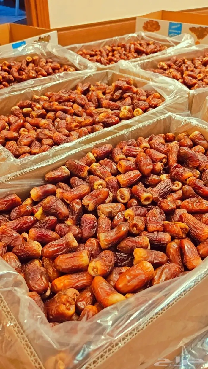 تمر برني العيص 1