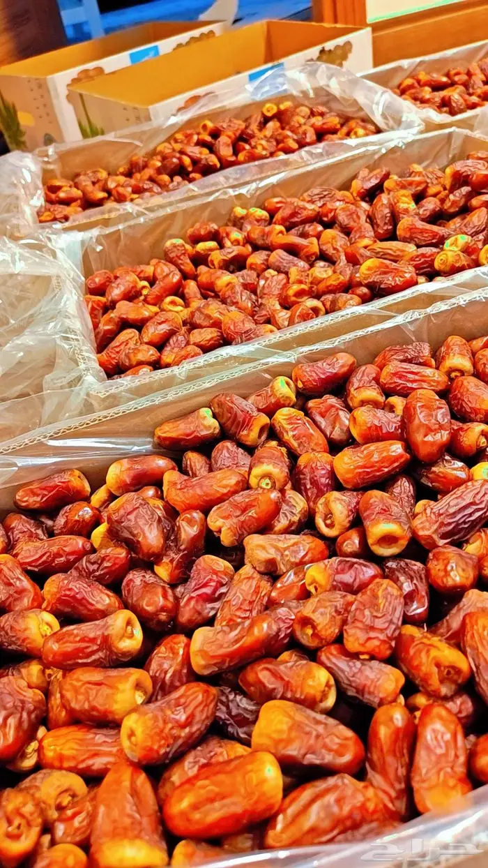 تمر برني العيص 2