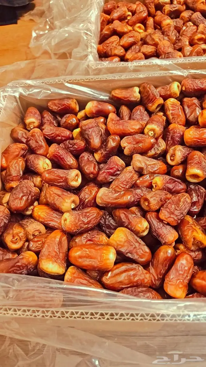 تمر برني العيص 1