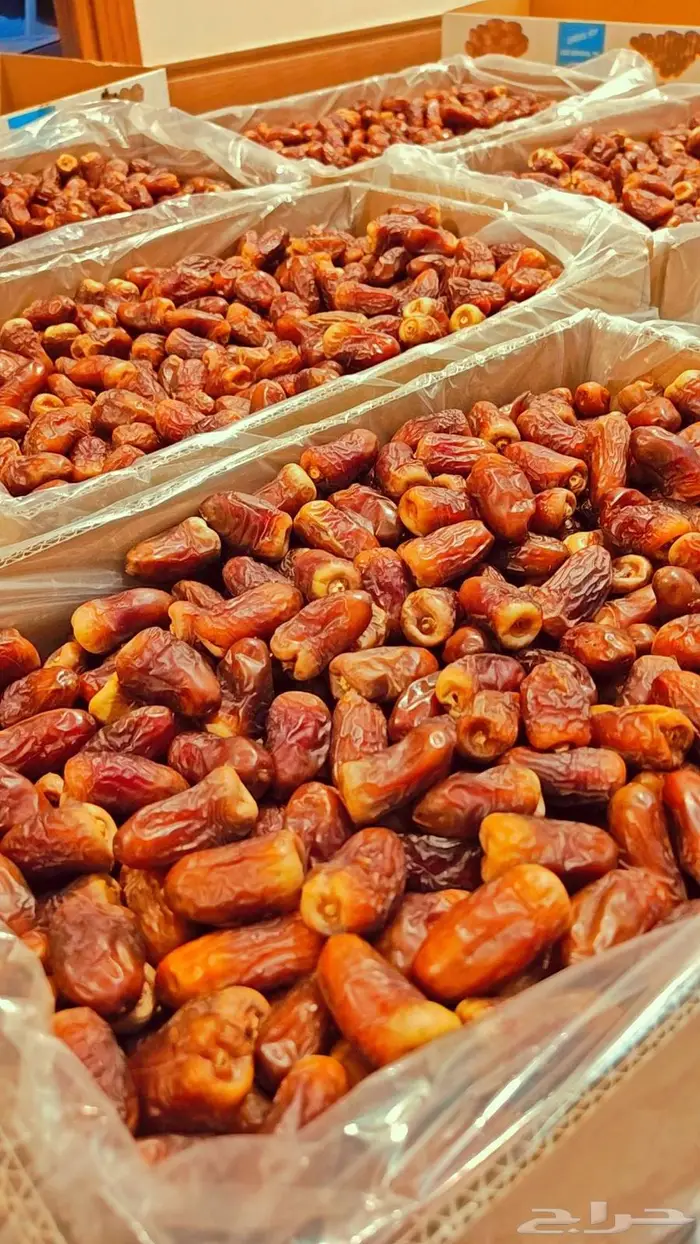 تمر برني العيص 3