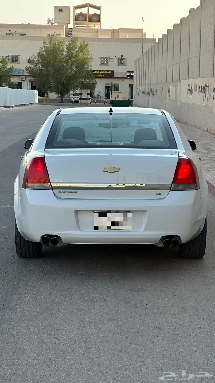 كابرس 2013 1