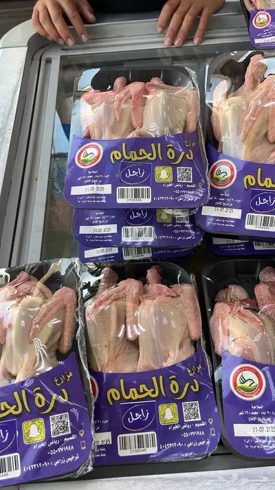حمام فرنسي index