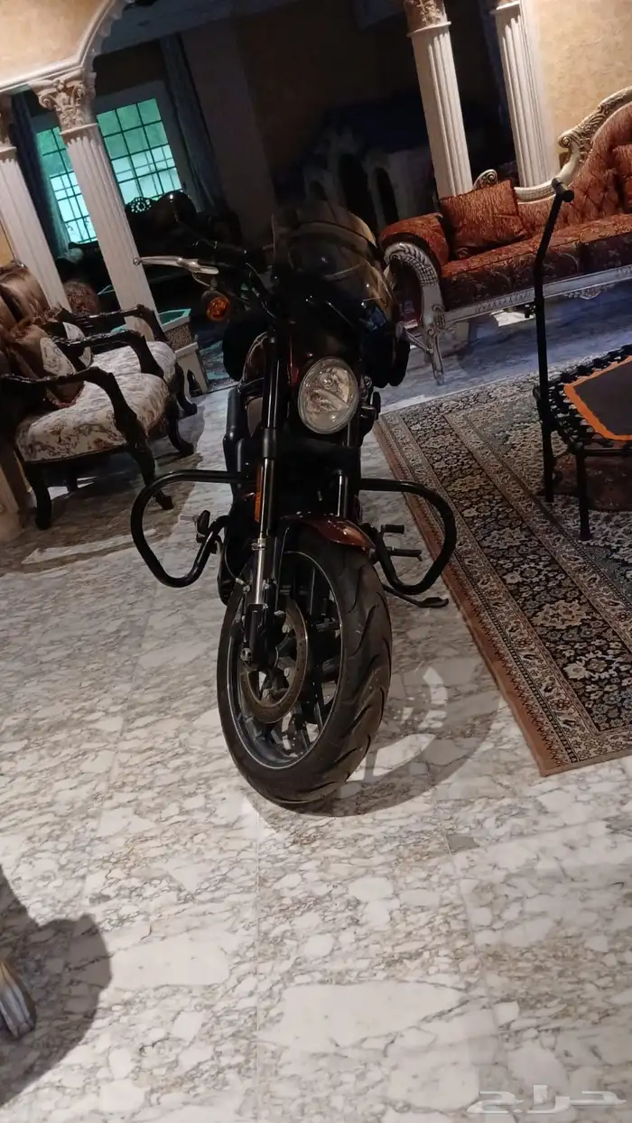 هارلي في رود 2016 2016 Harley VRod 0