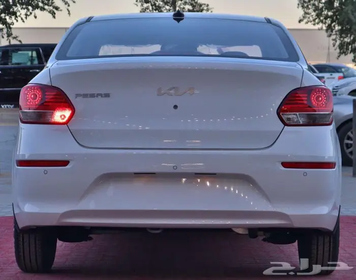 بيجاس ستاندرد GL 2025 10