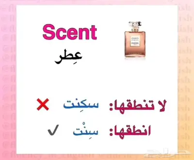 معلمة خصوصية  الأسعار ممتازة index